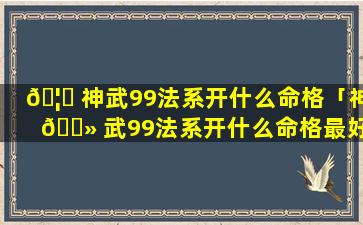🦍 神武99法系开什么命格「神 🌻 武99法系开什么命格最好」